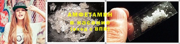 прущие грибы Абинск
