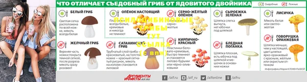 прущие крисы Абаза