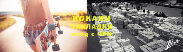 прущие грибы Абинск