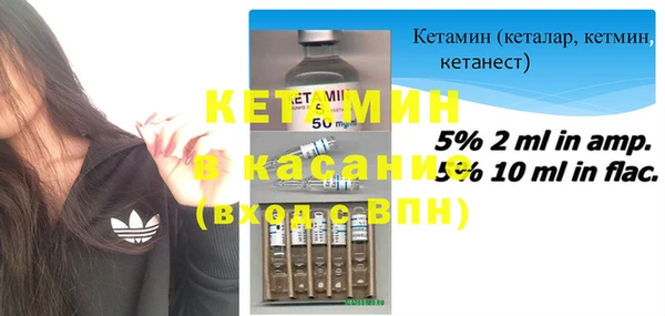 прущие грибы Абинск