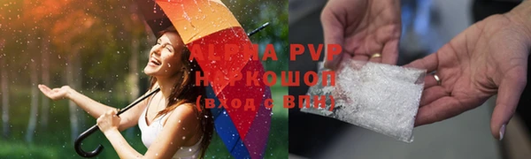 прущие грибы Абинск