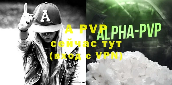 прущие крисы Абаза
